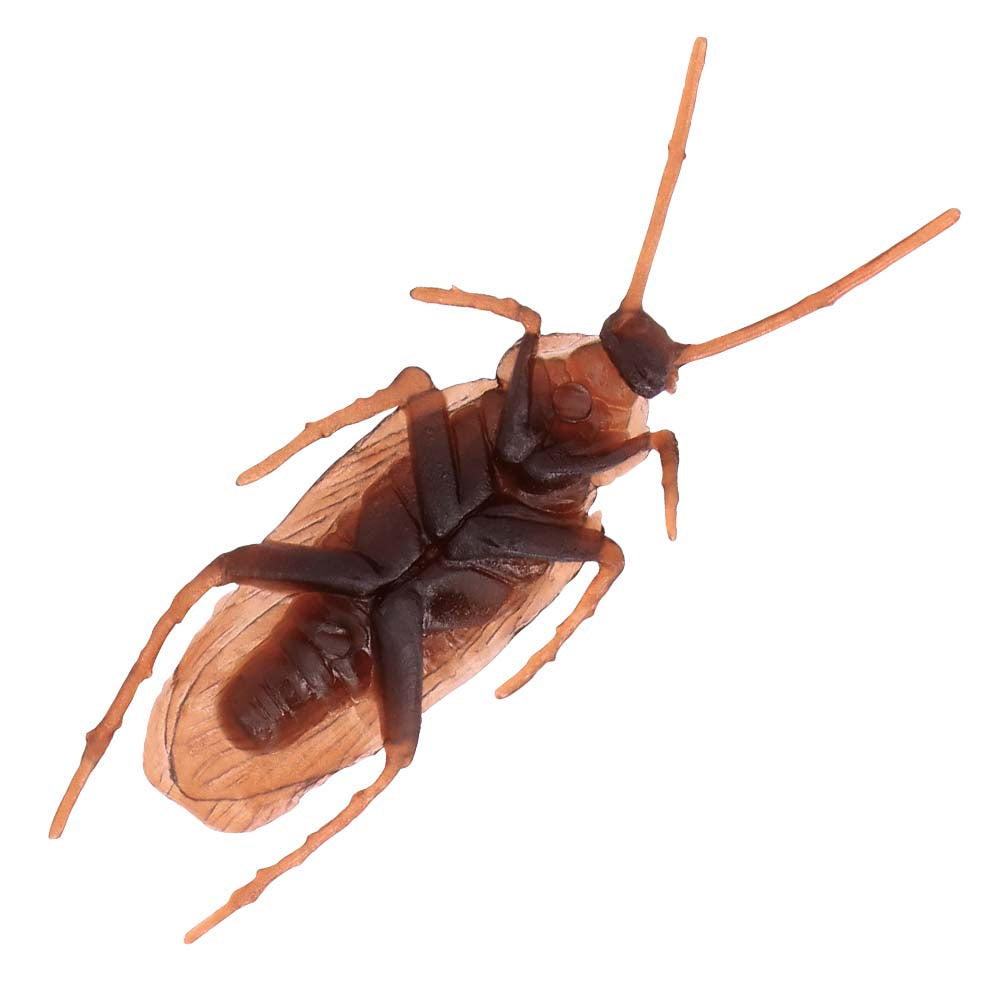 6x Kakerlaken 8cm