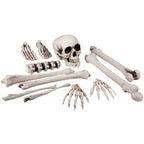Skelettset 12 Teile