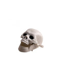 Totenkopf zum Aufziehen