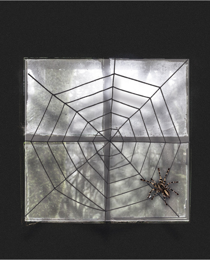 Spinnennetz schwarz 150cm