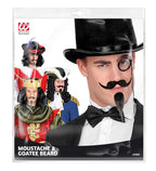 Bart Musketier Schnurrbart & Spitzbart