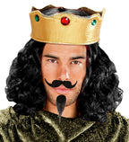Bart Musketier Schnurrbart & Spitzbart