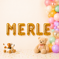 Folienballon Schriftzug weibliche Namen (Merle) 35cm Höhe