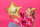 Folienballon Stern gold Happy Birthday 45cm