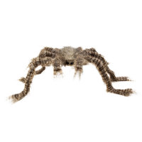 Haarige Spinne braun/grau 70cm