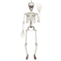 Bewegliches Skelett 90cm